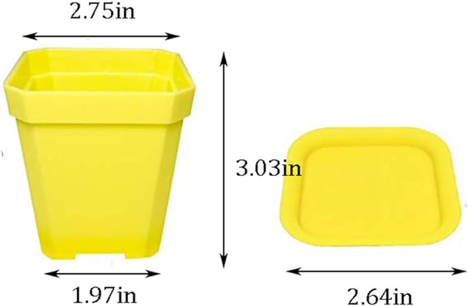 24 Pack 3inch Multi Color Square Plastic Plant Pots,Seedling Nursery Transplanting Planter Container Indoor Outdoor for Your Room,Garden Office and Balcony Decor