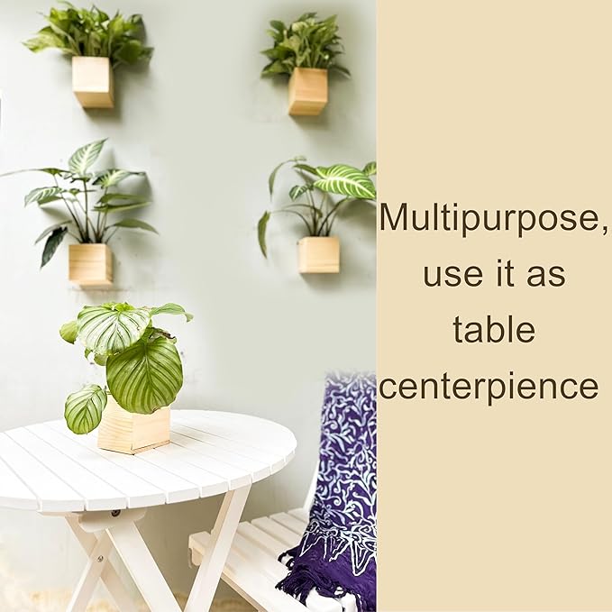 LaLaGreen Wooden Planter Box for Plants (4x4 Inch, 4 Pack) Small Square Wall Planters for Indoor Plant, Natural Wood Hanging Flower Pot Herb Planter Table Centerpiece Modern Home Garden Office Decor