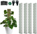 60"/40"/24" Metal Moss Pole, D Shape Sphagnum Moss Pole, Moss Poles for Climbing Plants, Monstera, Indoor Climbing Plants(4Pcs 40")