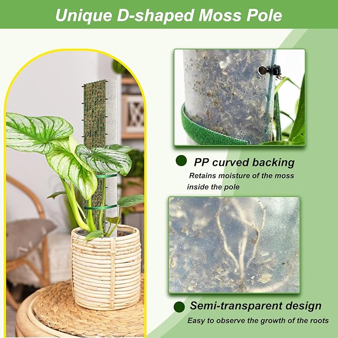 60" Metal Moss Pole, D Shape Sphagnum Moss Pole, Moss Poles for Climbing Plants, Monstera, Indoor Climbing Plants (4Pcs 60")