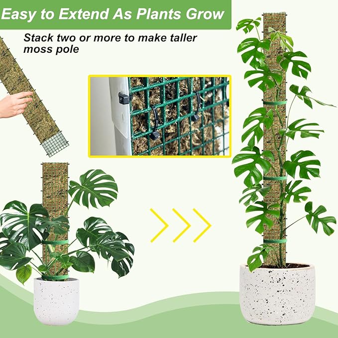 60"/40"/24" Metal Moss Pole, D Shape Sphagnum Moss Pole, Moss Poles for Climbing Plants, Monstera, Indoor Climbing Plants (2 Each of 40" 24")
