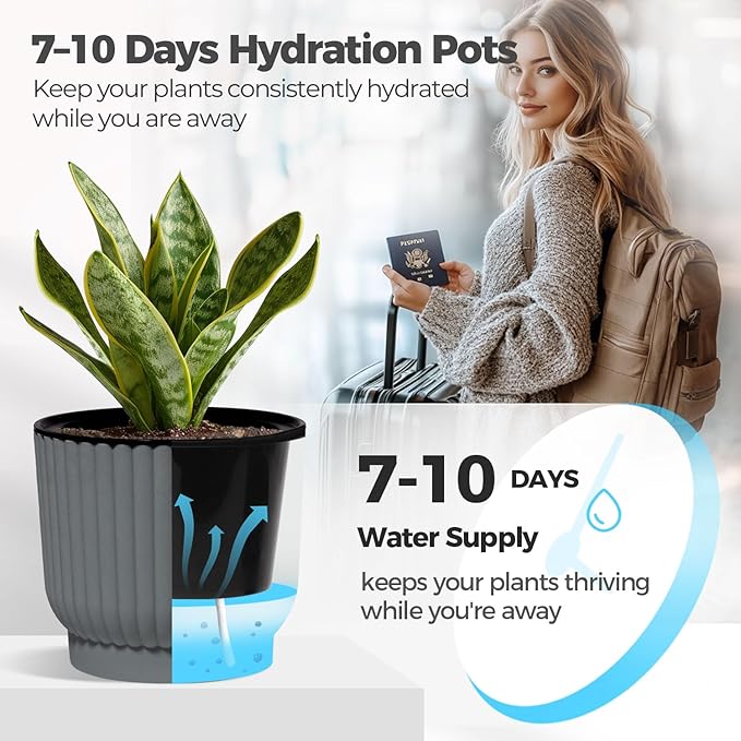 T4U 4 Inch Plant Pots Self Watering, 6 Pack African Violet Pots, Small Plant Pots for Plants, Small Indoor Plant Pot, Self Watering Planter for African Violet, Succulents (6 Pack 4" Pots, Gray)