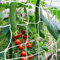 Trellis Netting, CANAGROW Heavy-Duty Garden Plant Trellis Netting for Climbing Plants, Outdoor Indoor Grow Net for Beans Tomatoes Peas Pumpkin Flowers, 6x15ft, 1 Pack