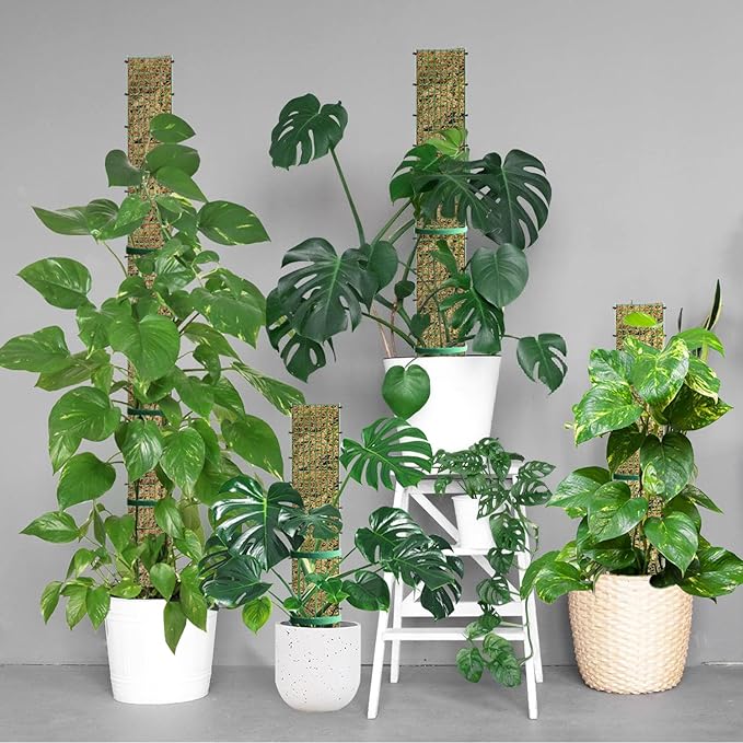 40" Metal Moss Pole, D Shape Sphagnum Moss Pole, Moss Poles for Climbing Plants, Monstera, Indoor Climbing Plants (2Pcs 40")