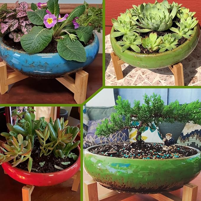 ARTKETTY Succulent Pot, 10 Inch Large Succulent Planter Pot with Stand, Ceramic Bonsai Pot with Mess Drainage Screen Shallow Cactus Flower Pot for Indoor/Outdoor Plants