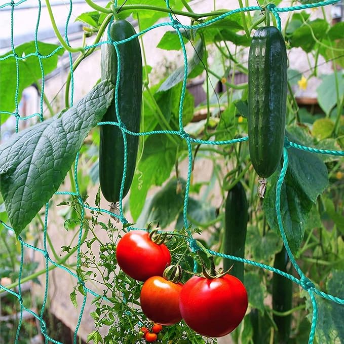 Pack of 2 Cucumber Tomato Trellis Netting, Heavy Duty Garden Netting Support for Climbing Plants, Pea, Grape, Bean, Fruit, Vegetables - 4" Mesh Size - 6Ft x 16.4Ft