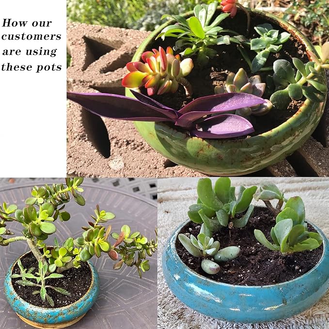 ARTKETTY Succulent Pots - 10 Inch Ceramic Bonsai Pots with Drainage Stand, Large Shallow Planters for Indoor Plants Glazed Cactus Flower Planter Container Bowl