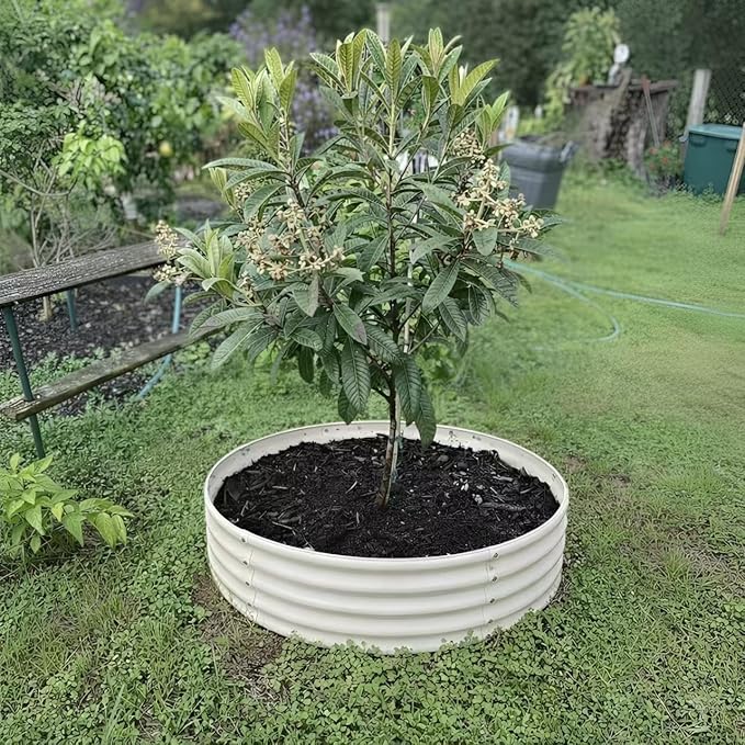 Round Galvanized Raised Garden Bed, 6x6FT, 12" Depth for Outdoor Gardening, Heavy Duty Metal Planter Box for Vegetables, Flowers & Herbs, Rust-Resistant, Easy DIY Assembly