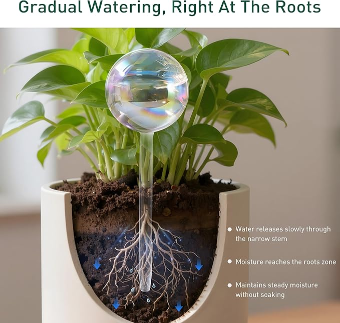 Large Extra-Thick Clear Glass Plant Watering Globes, Rainbow Gradient Self Watering Devices for Indoor & Outdoor Plants, Automatic Waterer Spikes, Perfect for Daily or Vacation Use, 4-Pack