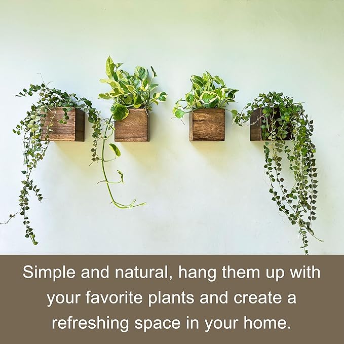 LaLaGreen Wood Planter Boxes (4x4 Inch, 4 Pack) Small Square Wooden Wall Mounted Flower Pot for Indoor Plants, Window Box Mount Hanging Herb Planters Outdoor Plant Holder Vertical Garden Home Decor