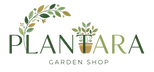 Plantara - Home
