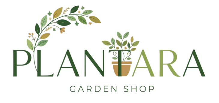 Plantara
